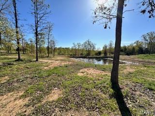 6858 669th Birch Tree, MO 65438 - Photo 13 of 19