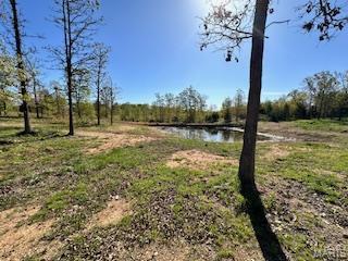 6858 669th Birch Tree, MO 65438 - Photo 14 of 19