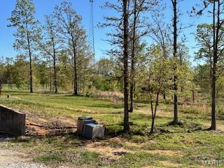 6858 669th Birch Tree, MO 65438 - Photo 5 of 19