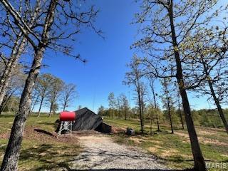 6858 669th Birch Tree, MO 65438 - Photo 8 of 19