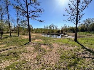 6858 669th Birch Tree, MO 65438 - Photo 9 of 19