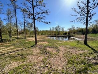 6858 669th Birch Tree, MO 65438 - Photo 10 of 19