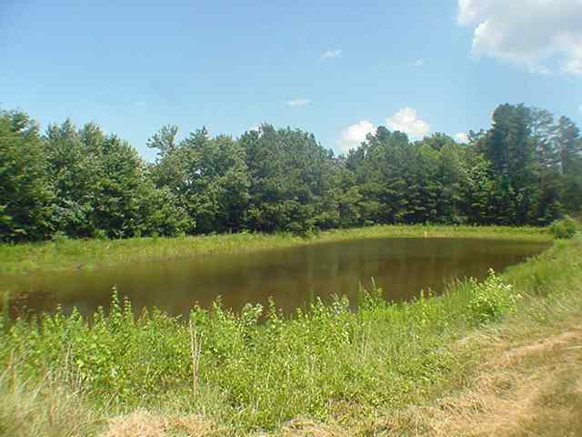 6200 Mountain View Road Taylors, SC 29687 - Photo 16 of 20