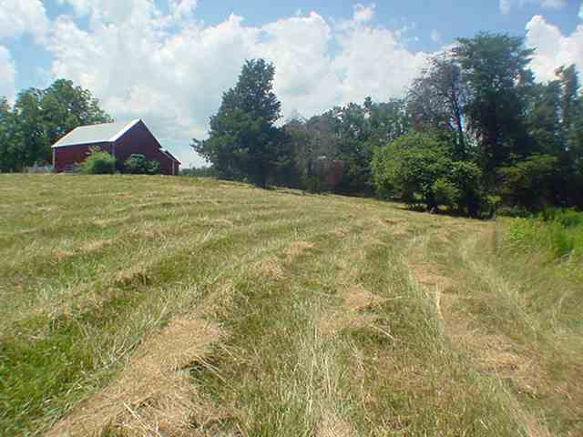 6200 Mountain View Road Taylors, SC 29687 - Photo 17 of 20