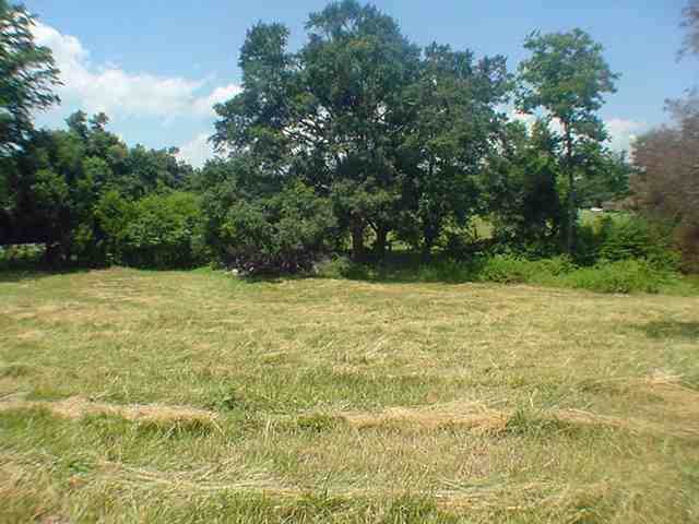 6200 Mountain View Road Taylors, SC 29687 - Photo 18 of 20