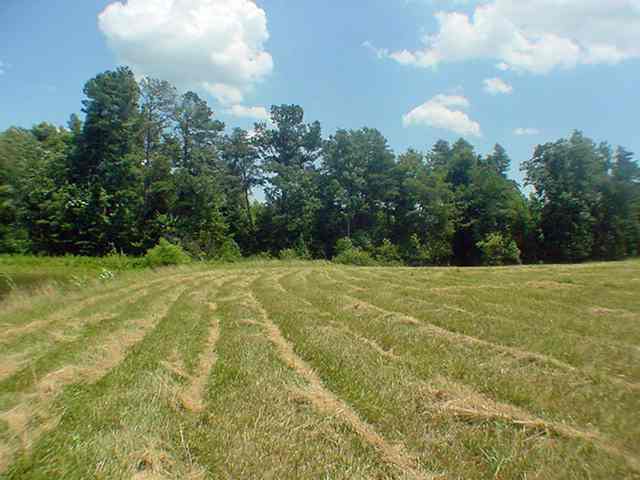 6200 Mountain View Road Taylors, SC 29687 - Photo 19 of 20