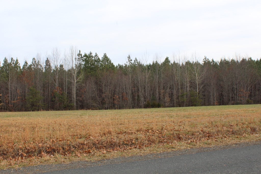 617 Stanton Town Road Dillwyn, VA 23936 - Photo 8 of 19 Gallery Image 8