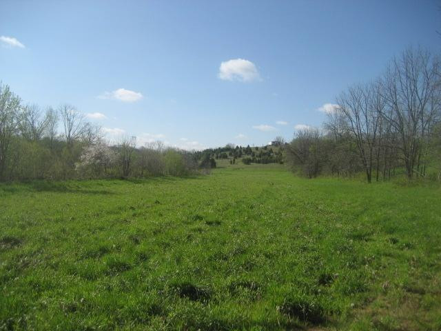 4158 Pinhook Road Mount Olivet, KY 41064 - Photo 8 of 35 Photo 8