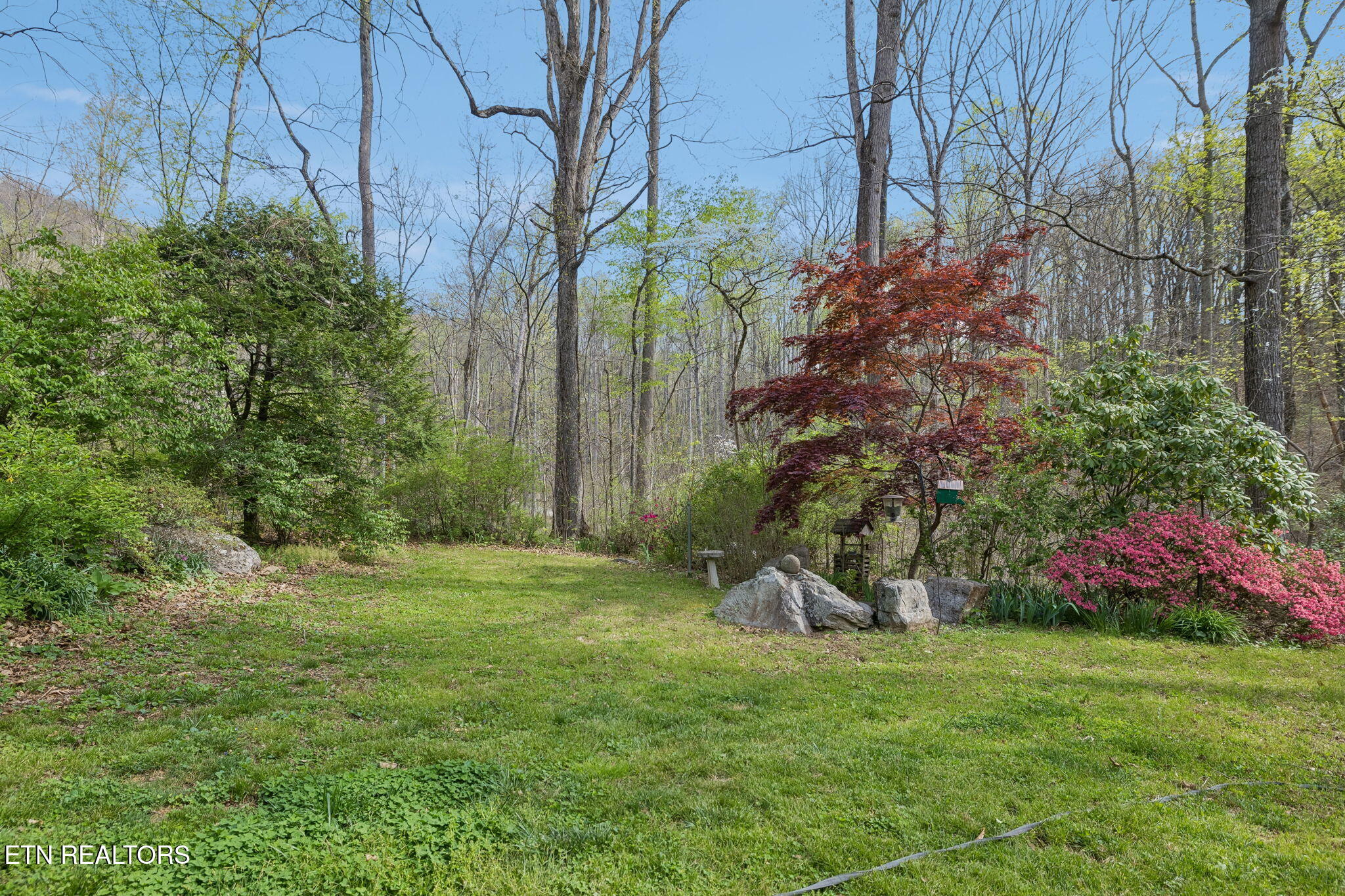 314 McKinney Road Blaine, TN 37709 - Photo 54 of 59 53-314 McKinney Rd - 053