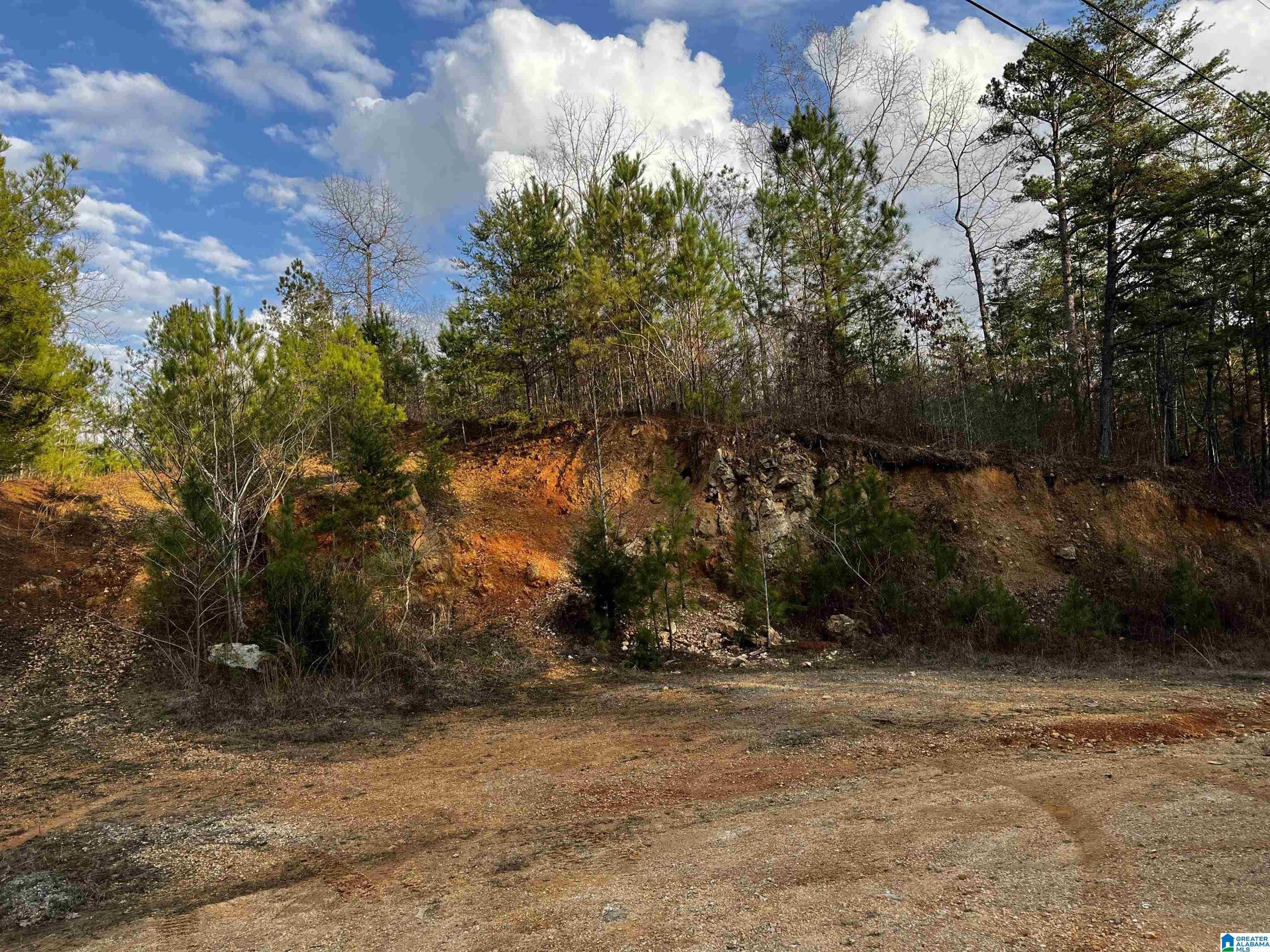 879 County Road 772 Montevallo, AL 35115 - Photo 7 of 8