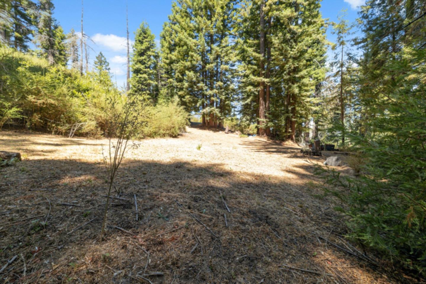 2472 Fanning Grde Ben Lomond, CA 95005 - Photo 8 of 13