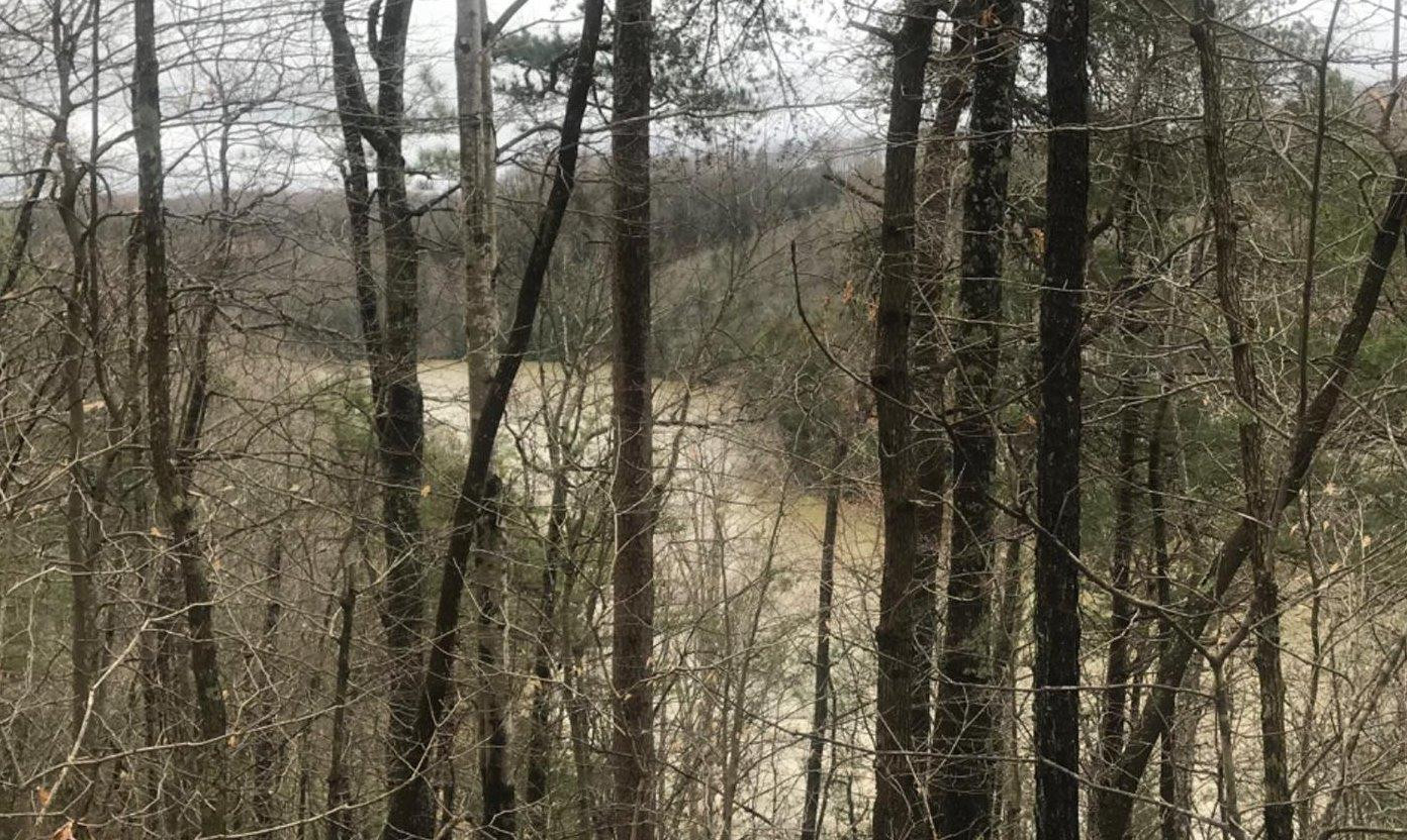 999 Laurel Cove Road London, KY 40741 - Photo 1 of 15 Photo 1