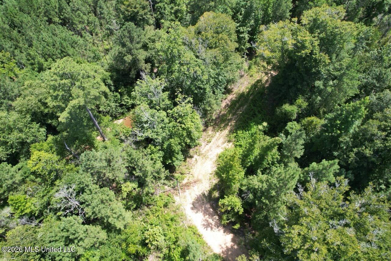 399 Northeast Dummyline Road Brookhaven, MS 39601 - Photo 11 of 33 DJI_0683 Large