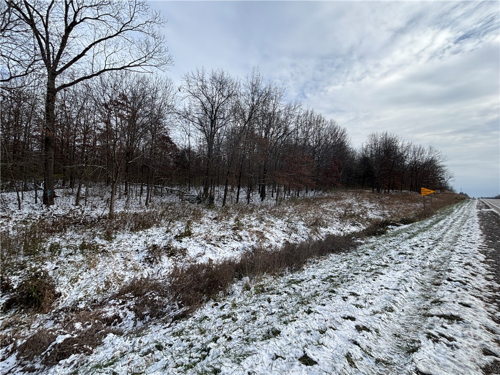 1 Il Rte Flat Flat Rock, IL 62427 - Photo 4 of 8