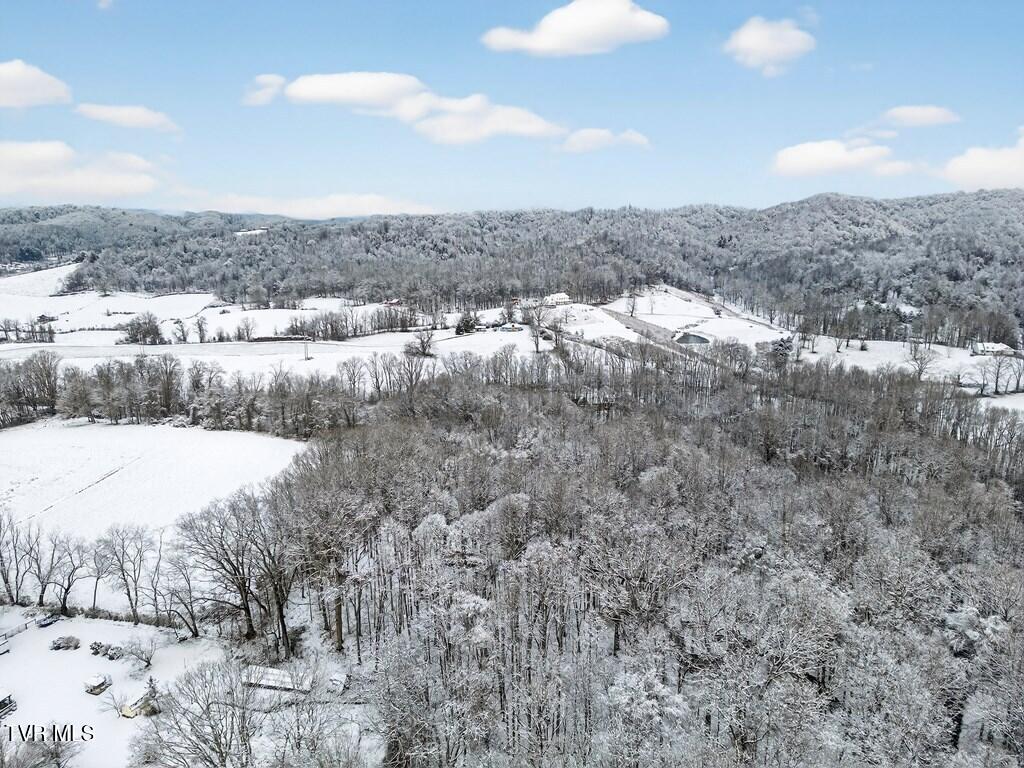 12034 Waterhouse Lane Meadowview, VA 24361 - Photo 14 of 51 104340_2