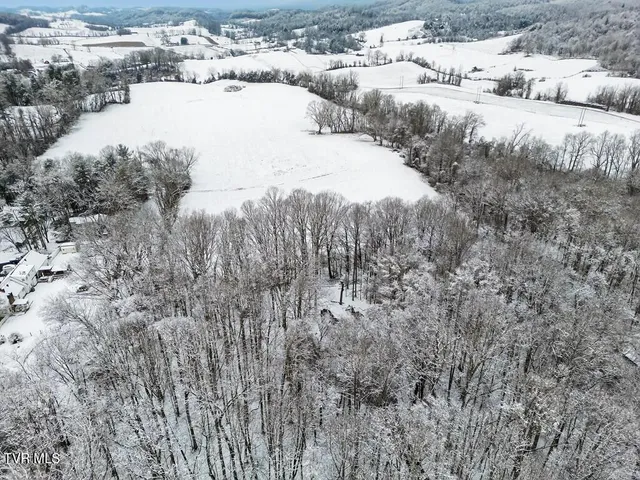 $429,900 | 12034 Waterhouse Lane, Meadowview, VA 24361