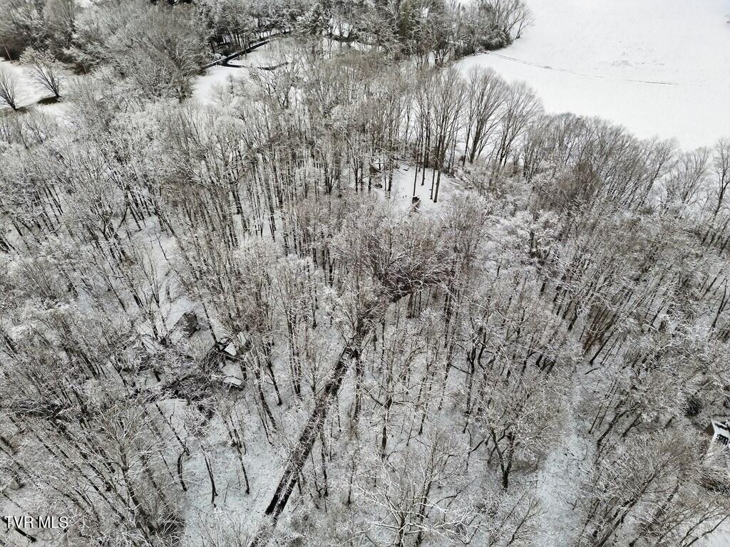 12034 Waterhouse Lane Meadowview, VA 24361 - Photo 20 of 51 104340_10