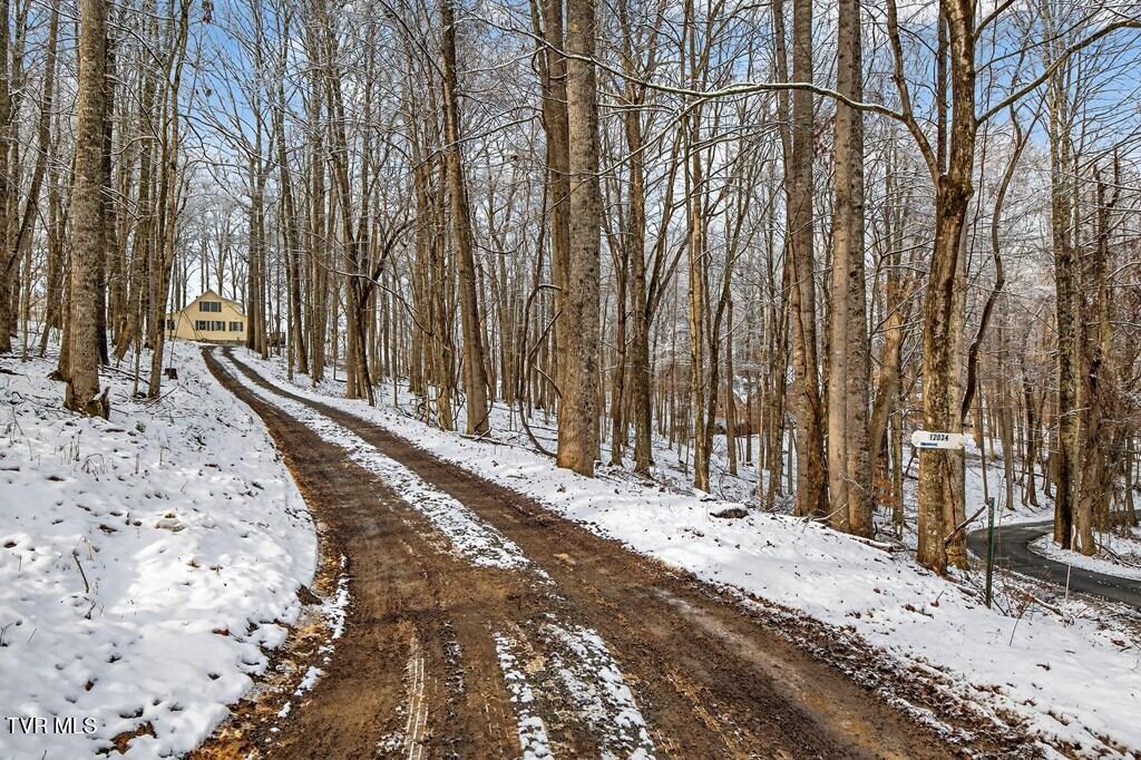 12034 Waterhouse Lane Meadowview, VA 24361 - Photo 2 of 51 104340_18
