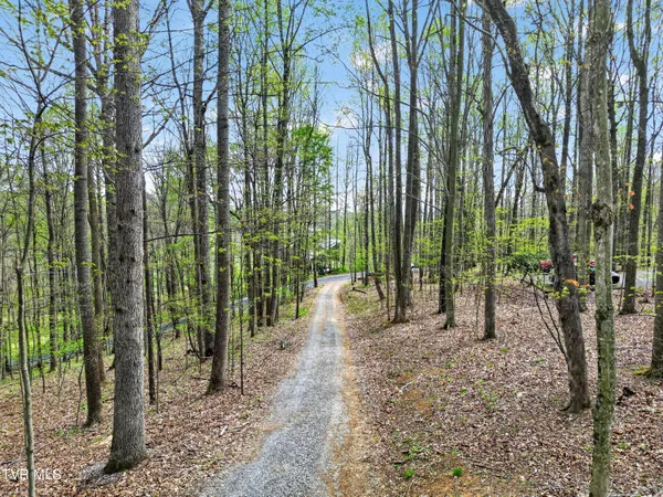 $405,000 | 12034 Waterhouse Lane, Meadowview, VA 24361