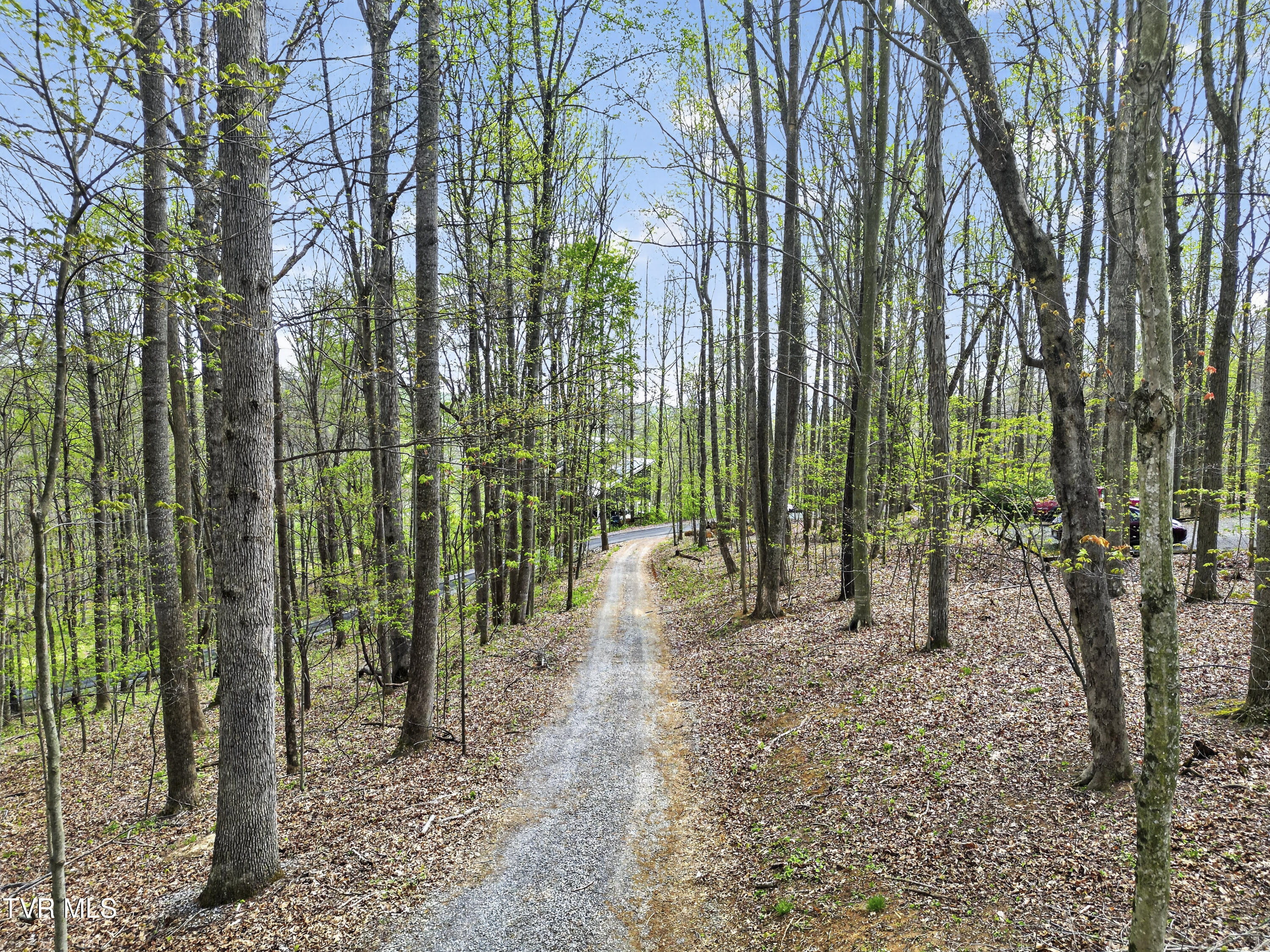 12034 Waterhouse Lane Meadowview, VA 24361 - Photo 2 of 42 12034-Waterhouse-Ln-Meadowview-VA Matt-S