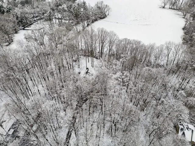 $429,900 | 12034 Waterhouse Lane, Meadowview, VA 24361