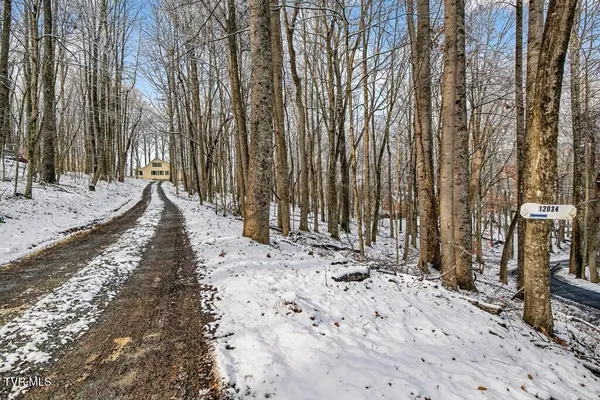 $410,900 | 12034 Waterhouse Lane, Meadowview, VA 24361