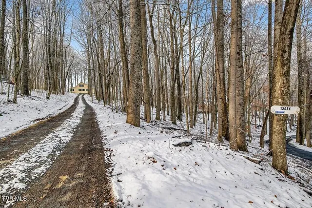 $429,900 | 12034 Waterhouse Lane, Meadowview, VA 24361