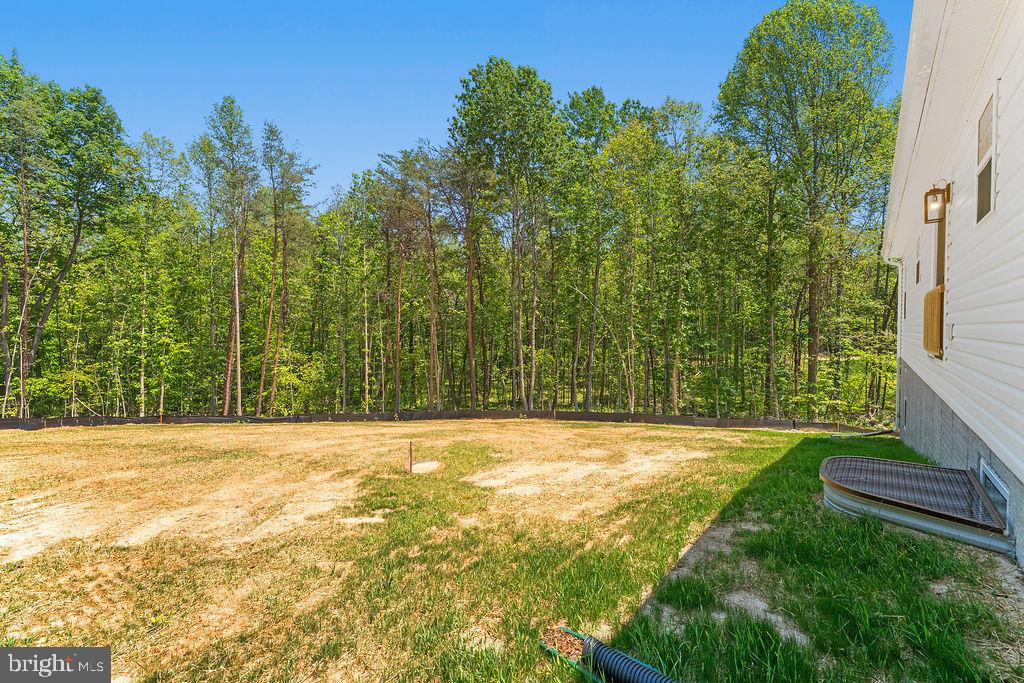 675 Vawter Corner Road Louisa, VA 23093 - Photo 3 of 42