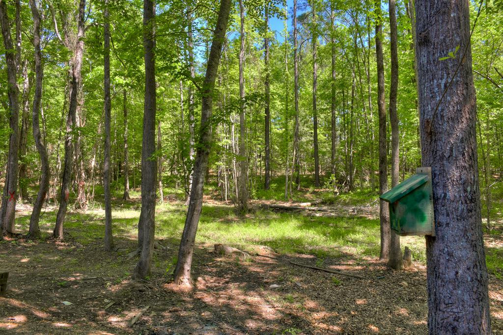 561 Stirling Bridge Road Grovetown, GA 30813 - Photo 26 of 28