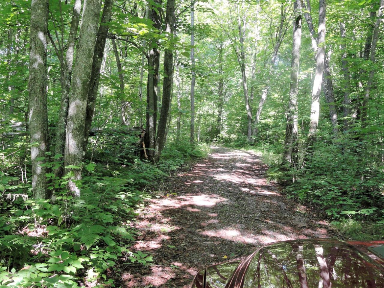 N8450 New Wood Road Tomahawk, WI 54487 - Photo 23 of 47 Gallery Image 23