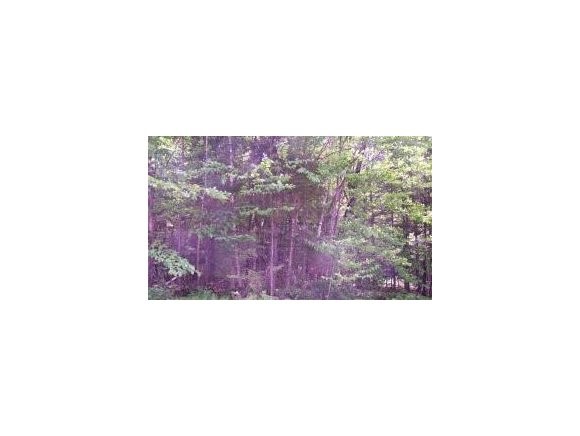 0 Allagash Road Bath, NH 03740 - Photo 1 of 1
