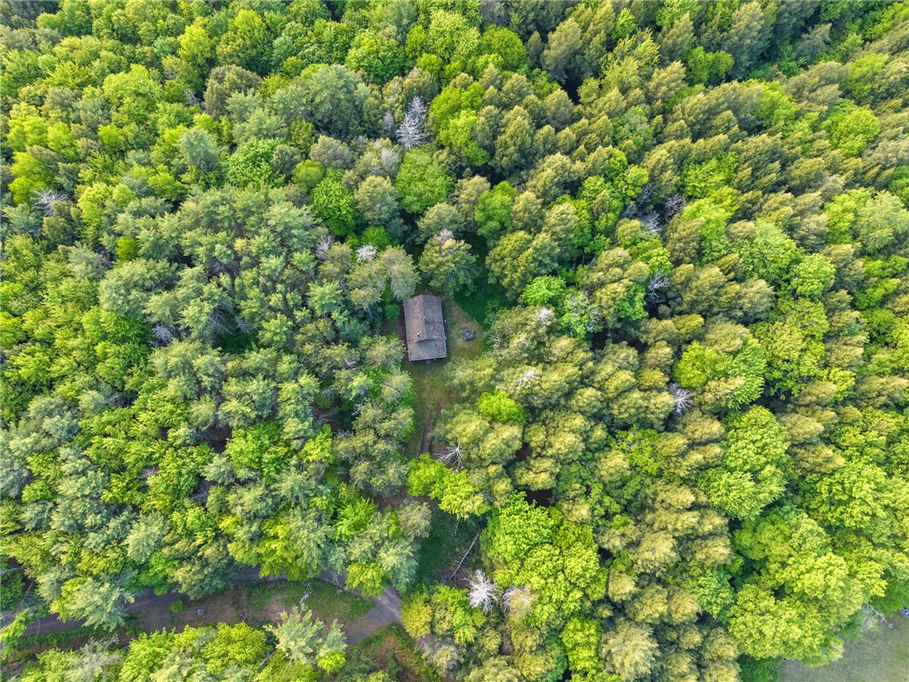 202 Blakesley Road Conesville, NY 12076 - Photo 43 of 46