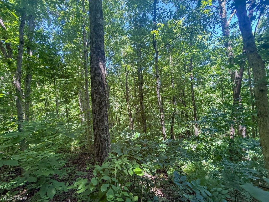 Keffer Road Stockport, OH 43787 - Photo 18 of 25