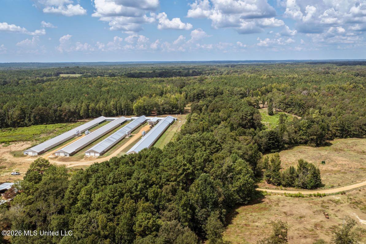 300 Center Crossing Road Kosciusko, MS 39090 - Photo 13 of 48 DJI_20260914124255_0177_D