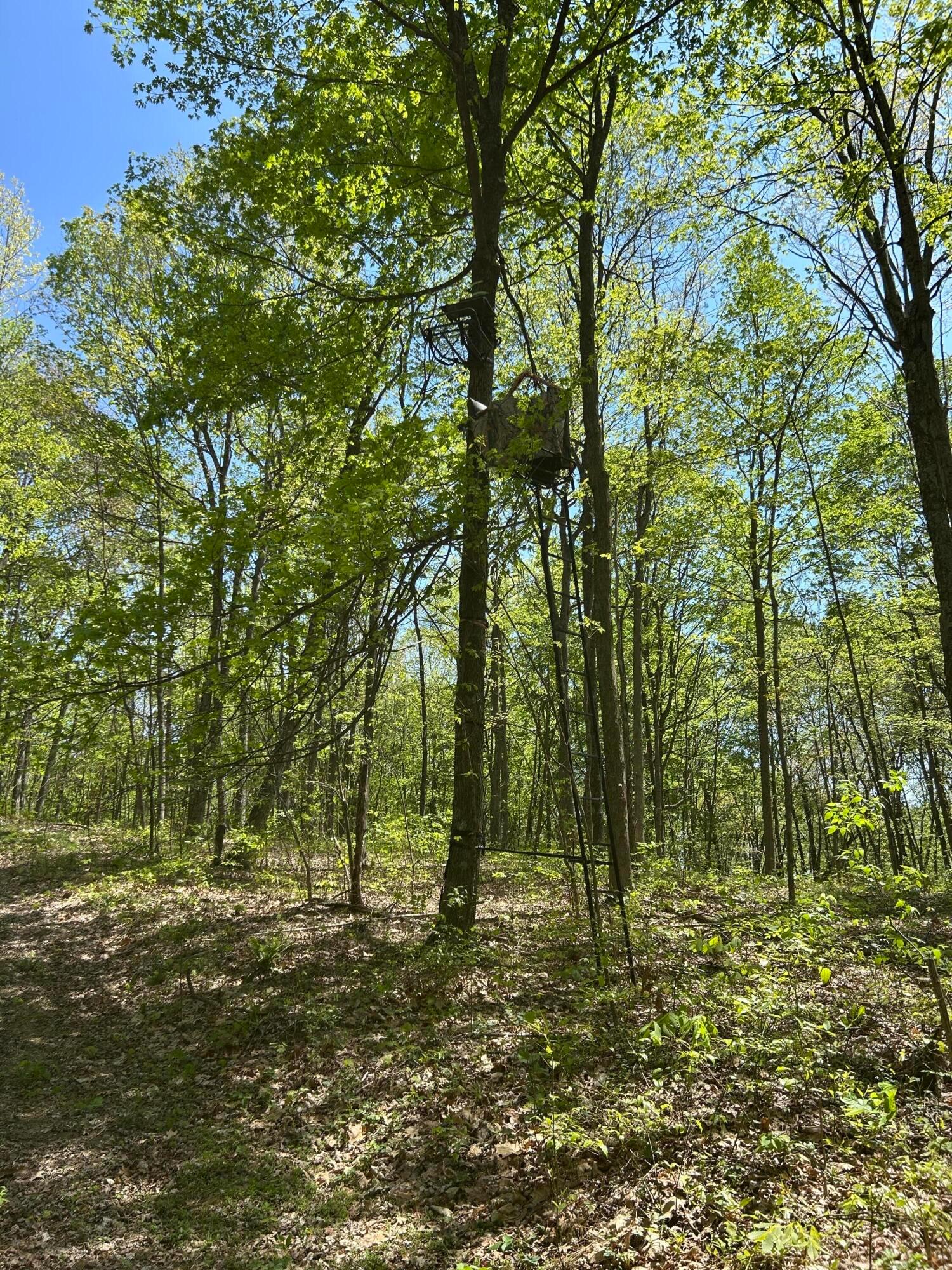 9407 Laurel Ridge Road, Unit 9405 Piketon, OH 45661 - Photo 19 of 34 pic 8