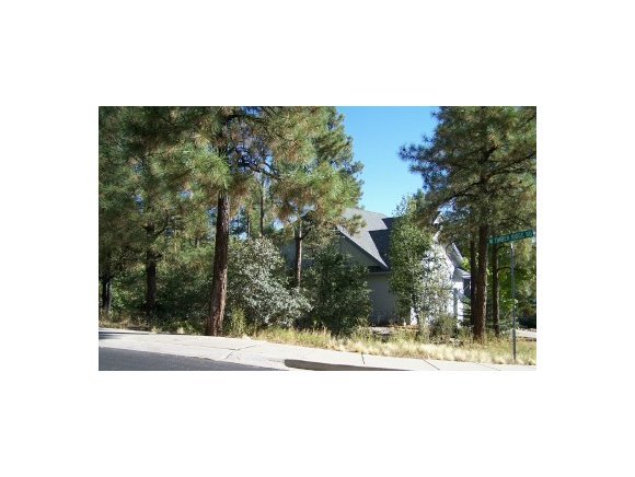 1180 West Timber Ridge Road Prescott, AZ 86303 - Photo 1 of 8 Primary Photo