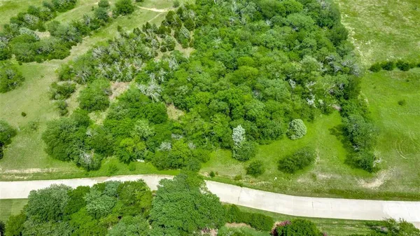 a view of a yard