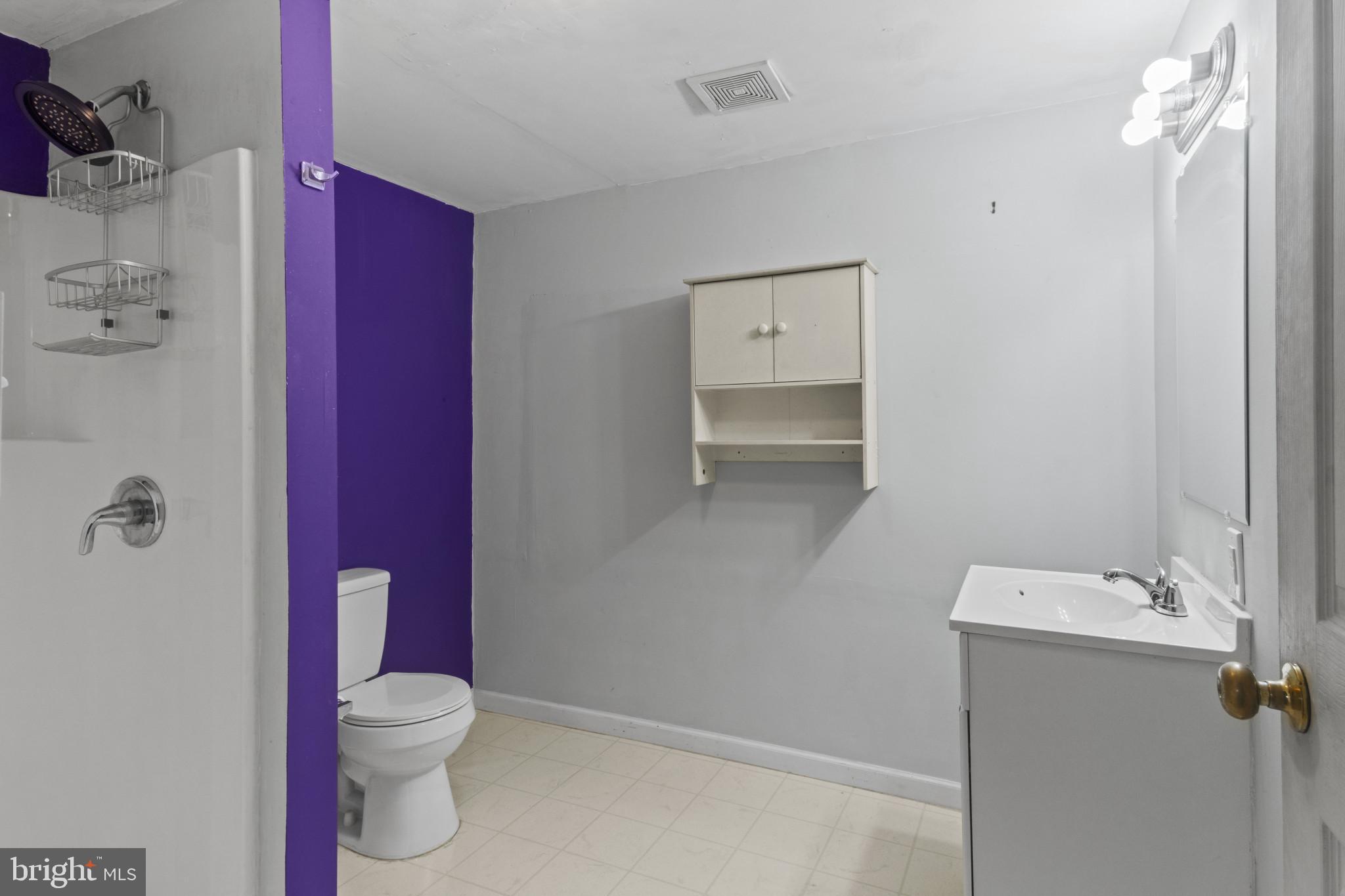8704 3 Notch Road Louisa, VA 23093 - Photo 11 of 23 Modern bathroom with vibrant purple accent.