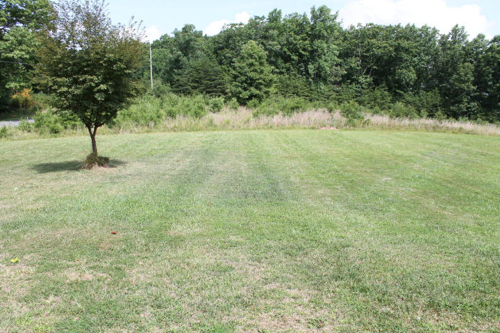 2463 Dillards Hill Road Union Hall, VA 24176 - Photo 14 of 14 a view of a yard with a tree