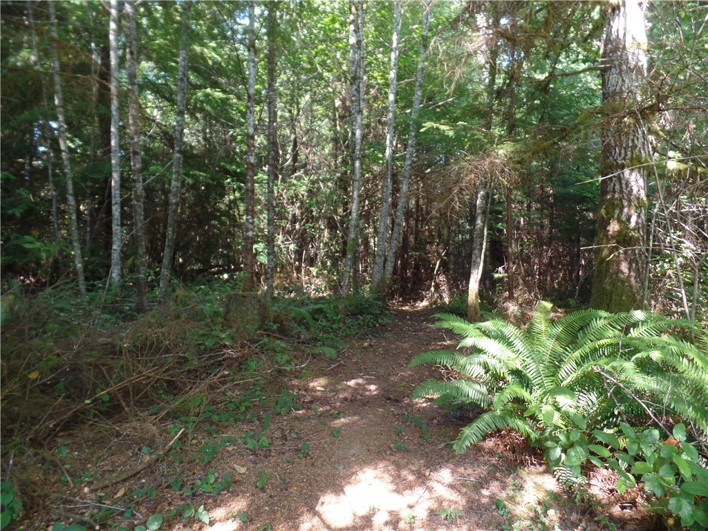 57 Sudderth Road Hoquiam, WA 98550 - Photo 23 of 25 Gallery Image 23