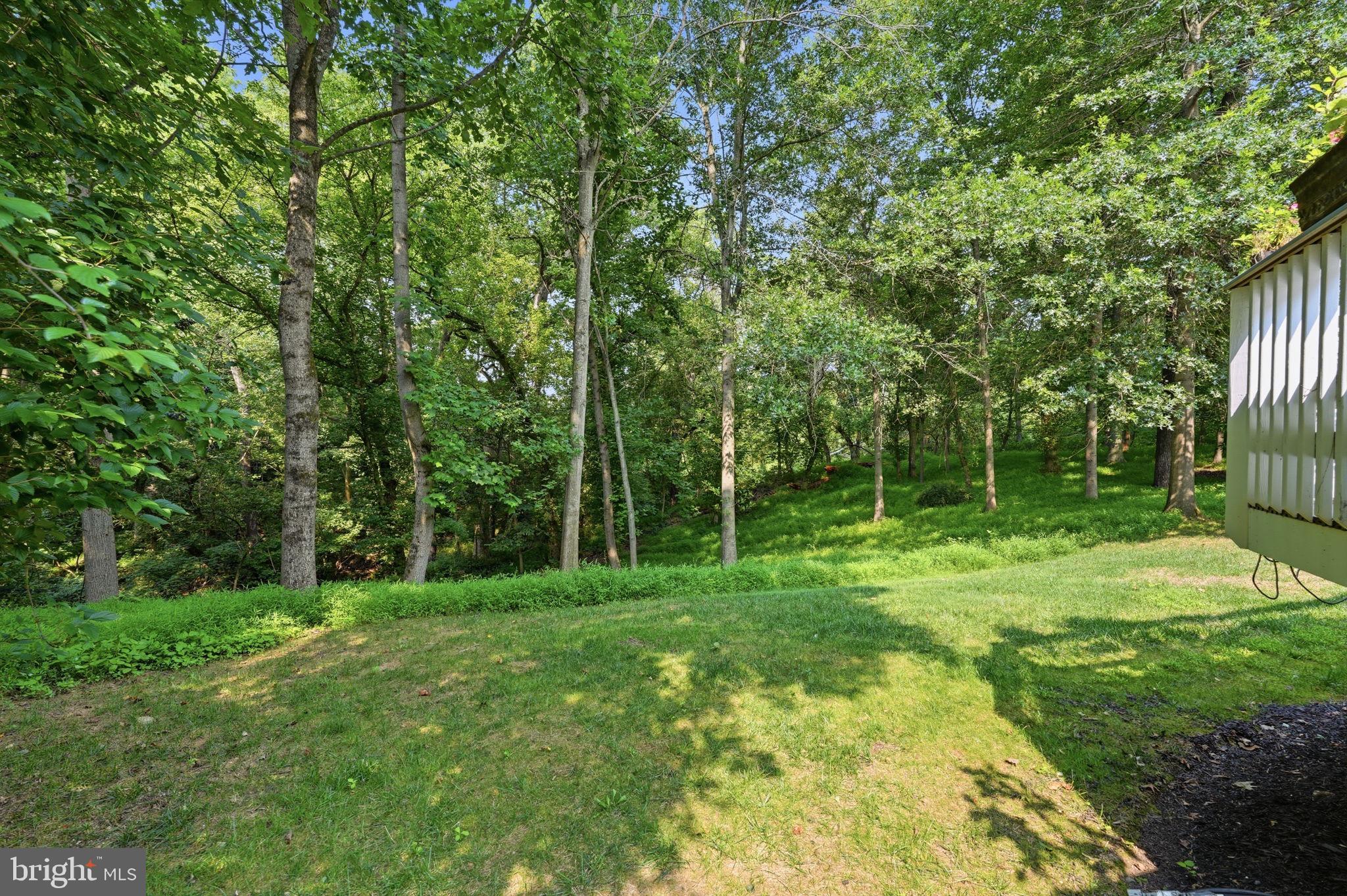 11640 Piney Spring Lane Potomac, MD 20854 - Photo 37 of 38 Backing to Forest Conservation