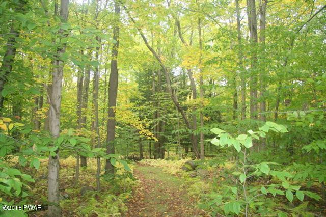 Lake Road Thompson, PA 18465 - Photo 1 of 3