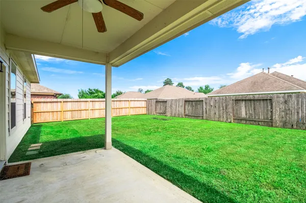 a view of a backyard with plants and large trees