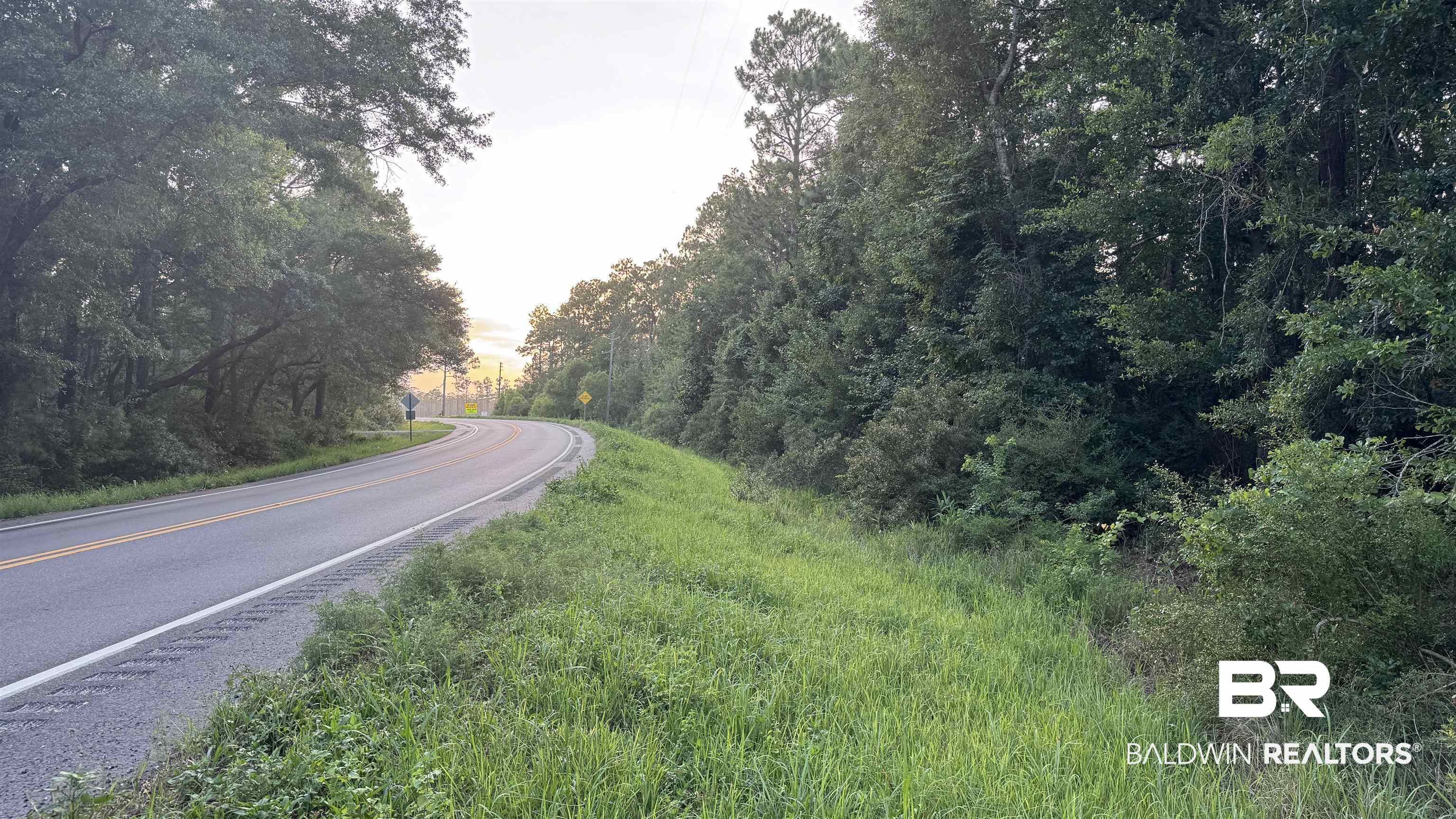 0 Highway 188 Coden, AL 36523 - Photo 34 of 37 Gallery Image 34