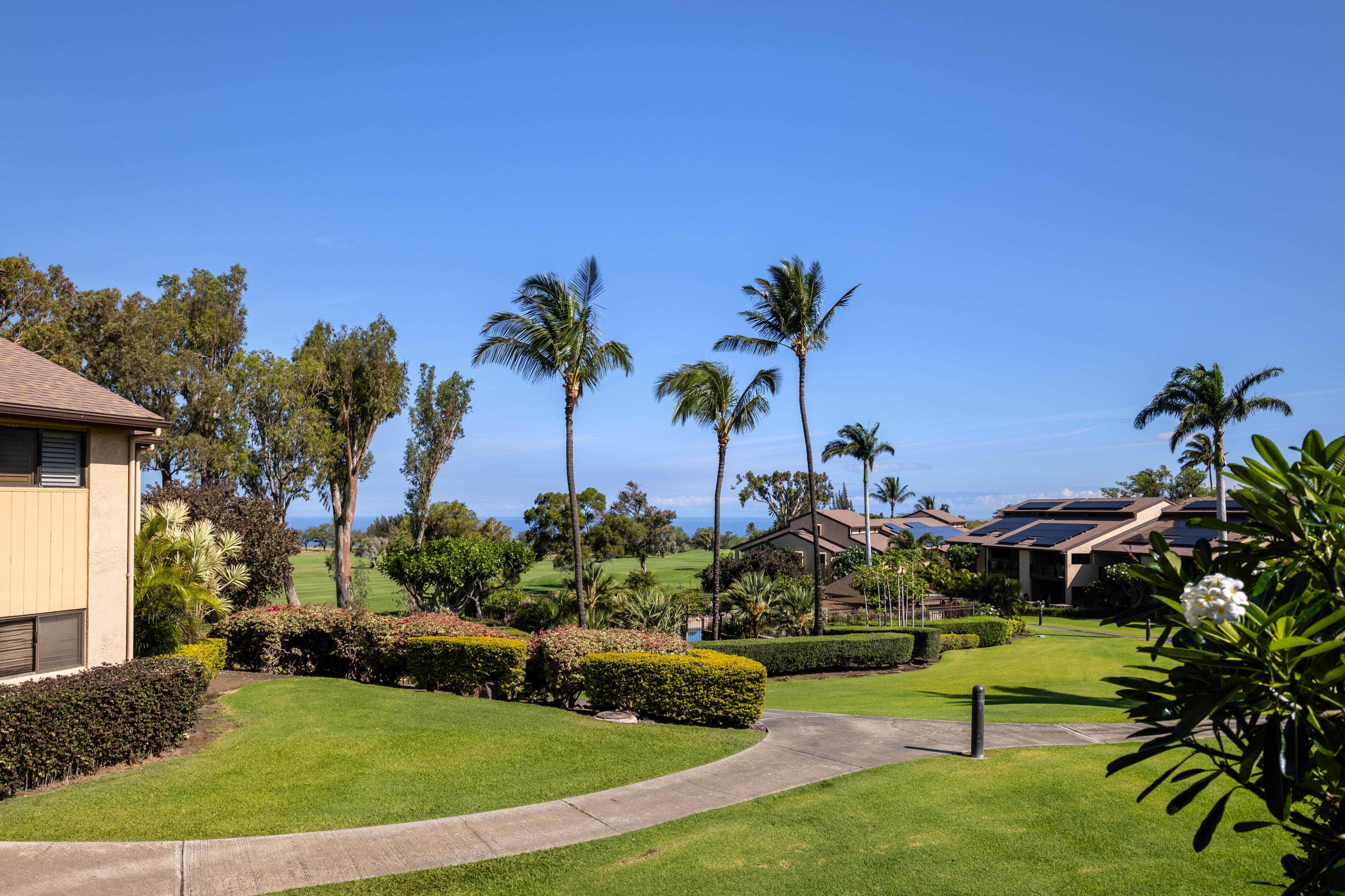 68-3840 Lua Kula Street, Unit D200 Waikoloa, HI 96738 - Photo 16 of 29 a view of a garden with plants and palm trees