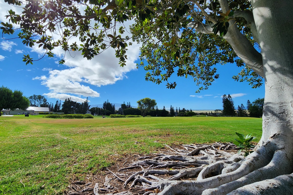 68-3840 Lua Kula Street, Unit D200 Waikoloa, HI 96738 - Photo 29 of 29 a view of a field with a tree in the background