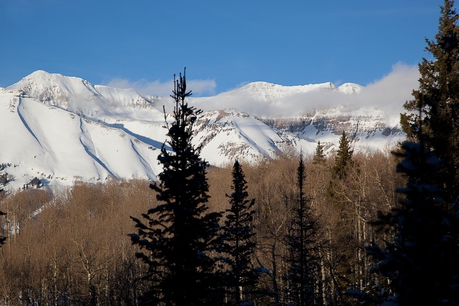 687 Fox Farm Road Telluride, CO 81435 - Photo 14 of 16 View