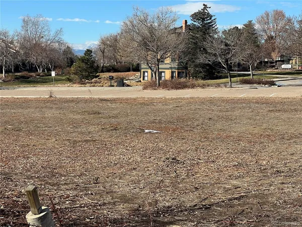 a view of dirt yard with a large tree