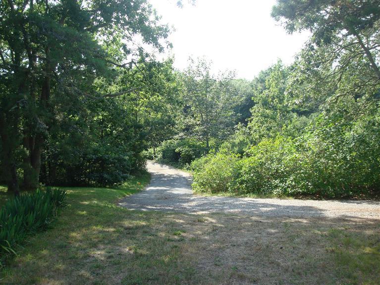74 Sears Point Road Chatham, MA 02633 - Photo 12 of 21 a view of a yard with a tree