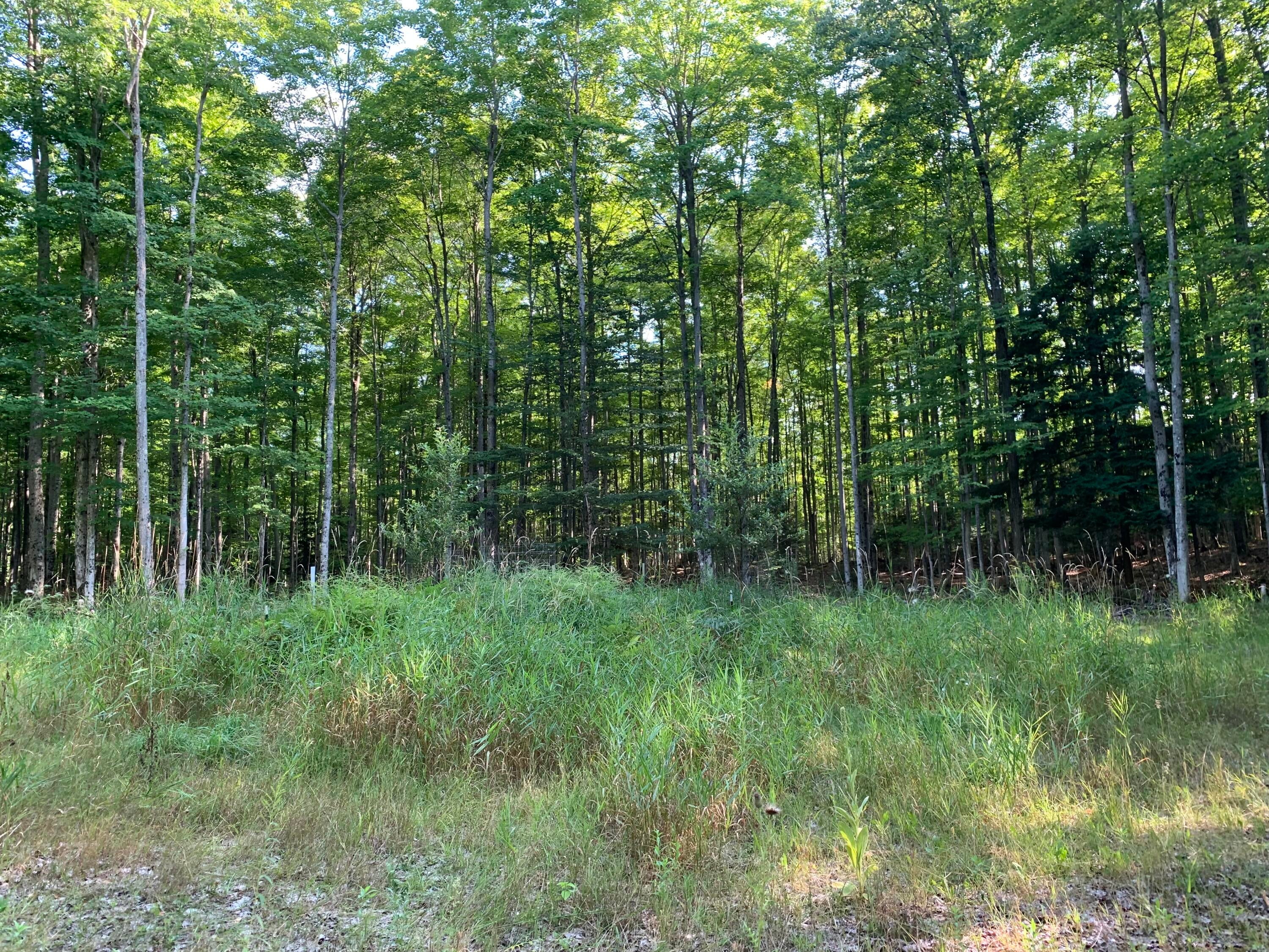 Enger Road Posen, MI 49776 - Photo 52 of 58 Gallery Image 52